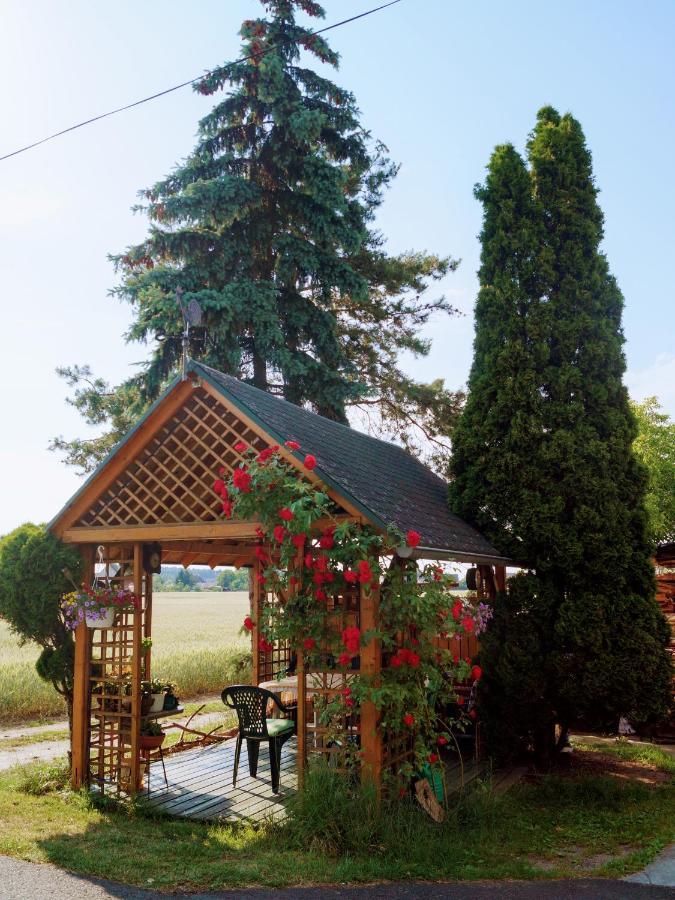 U Willima Apartament Mechnica